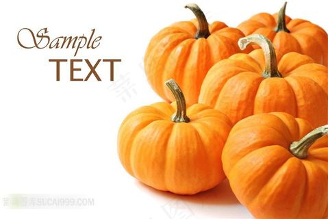 多个成熟的大南瓜摄影高清图片