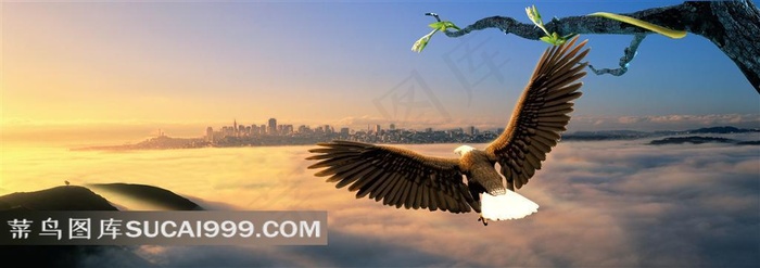 云层鸟瞰城市鹰展翅高清图片