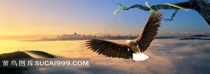 云层鸟瞰城市鹰展翅高清图片