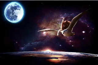 元宇宙世界天空背景墙风景