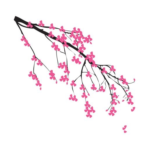 樱花 PNG免抠(600x600)