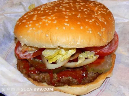 美味蔬菜汉堡包快餐素材