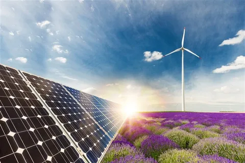 太阳能板与薰衣草花田摄影高清图片