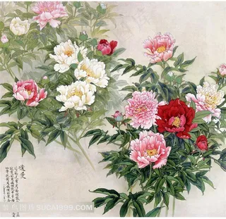 工笔牡丹花素材