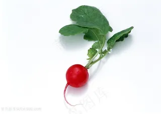 红色樱桃萝卜蔬菜高清图