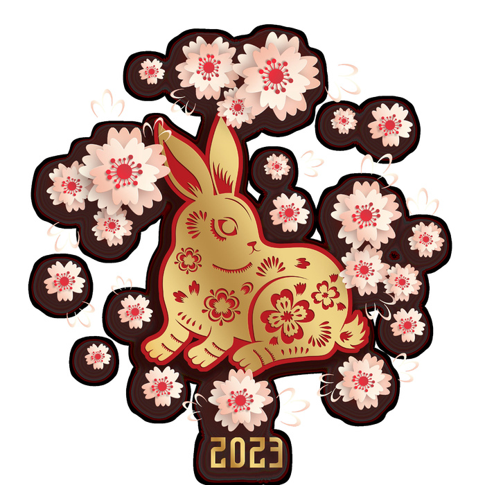桃花红色2023数字兔年挂画psd模版下载