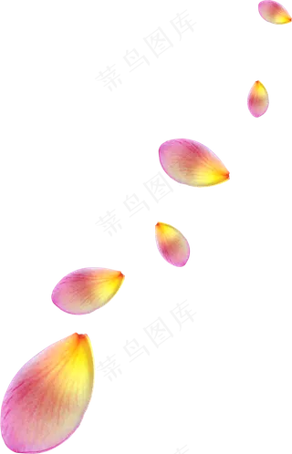 花瓣花朵免扣图片  