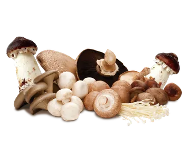 免抠一堆蘑菇图片