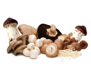 免抠一堆蘑菇图片