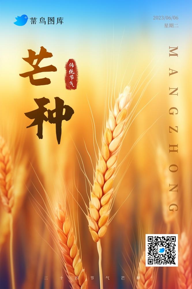 芒种金色小麦简约海报