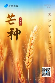 芒种金色小麦简约海报