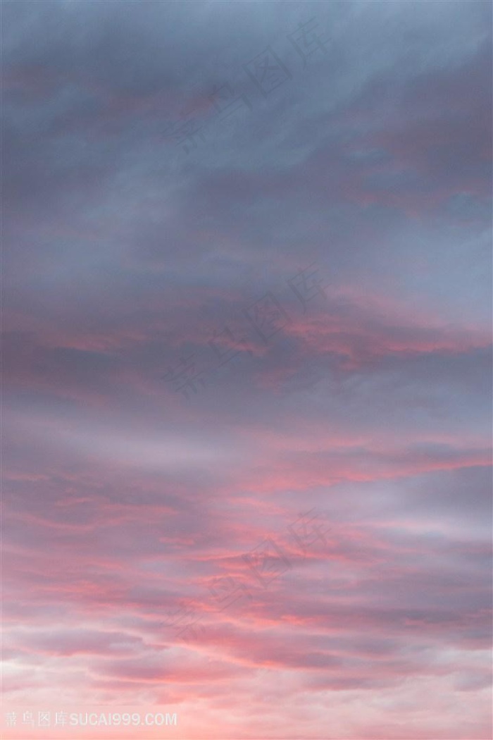 粉红色的彩云