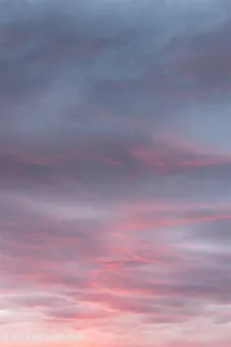 粉红色的彩云 粉红色的彩云