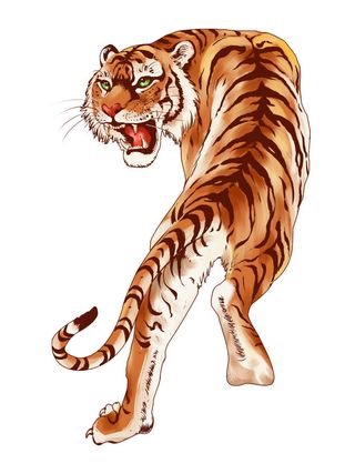 手绘国潮虎年卡通白虎老虎形象插画装饰元素PSD设计素材png免抠图