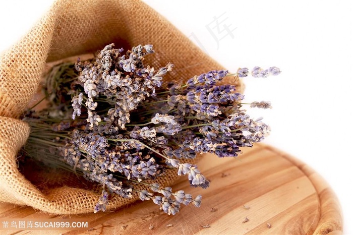 高清唯美薰衣草干花花束图片