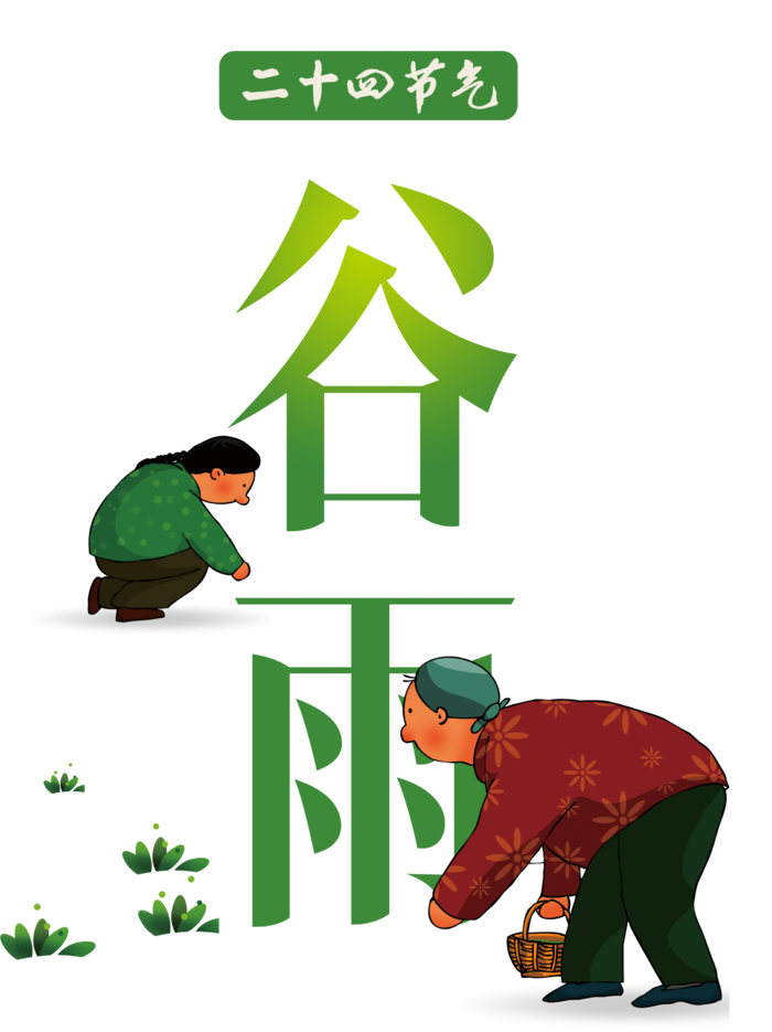谷雨字体插画