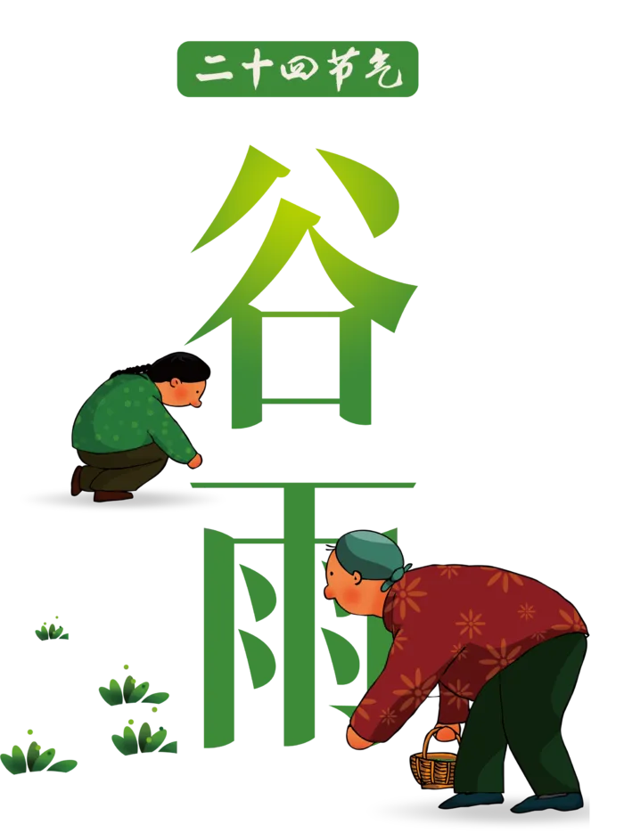 谷雨字体插画