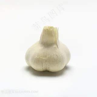 摄影素材大蒜高清素材