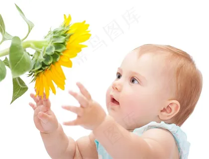 准备捧花的小孩