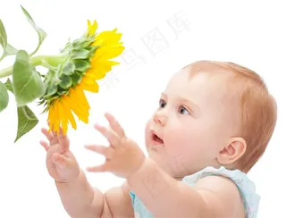 准备捧花的小孩