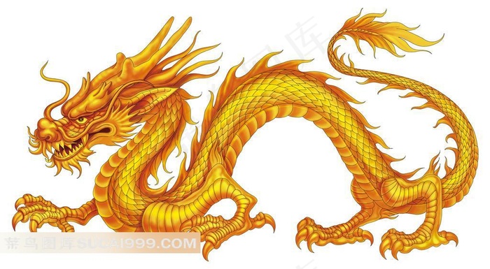 高清中国龙金龙图片
