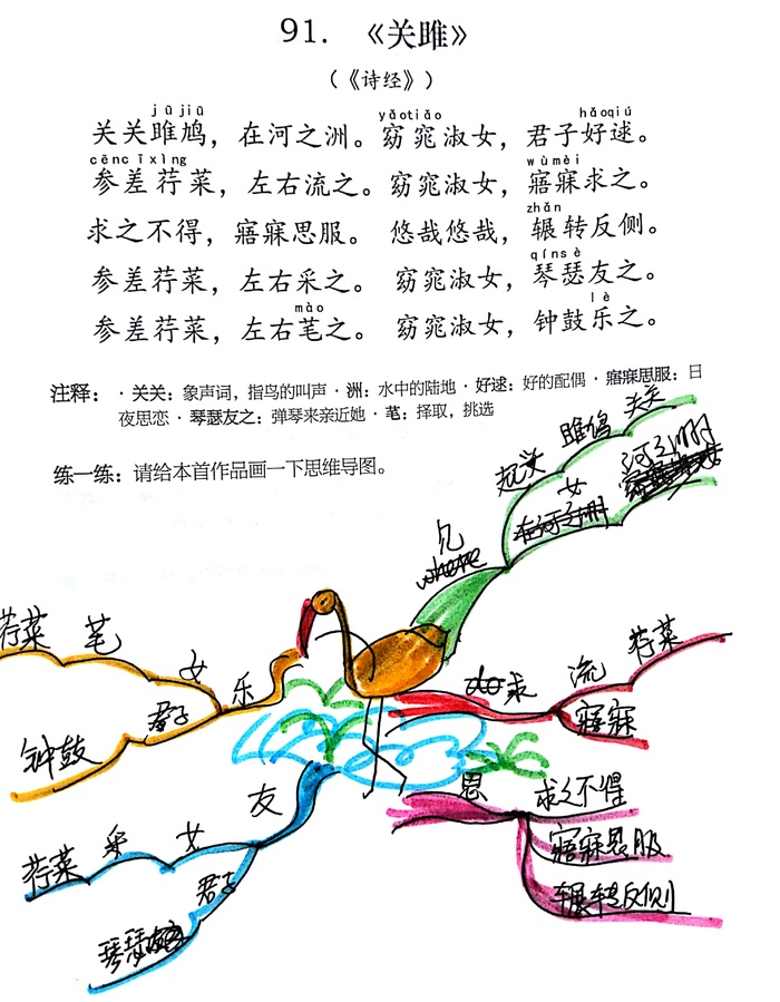 古诗诗经《关雎》思维导图