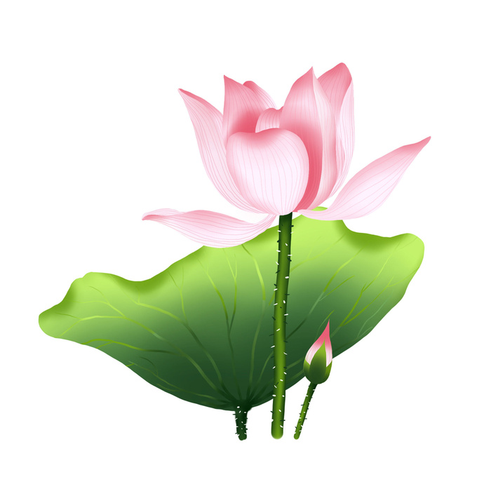 国潮中国风手绘荷花莲花荷叶莲藕植物花卉装饰插画PSD设计素材psd模版下载