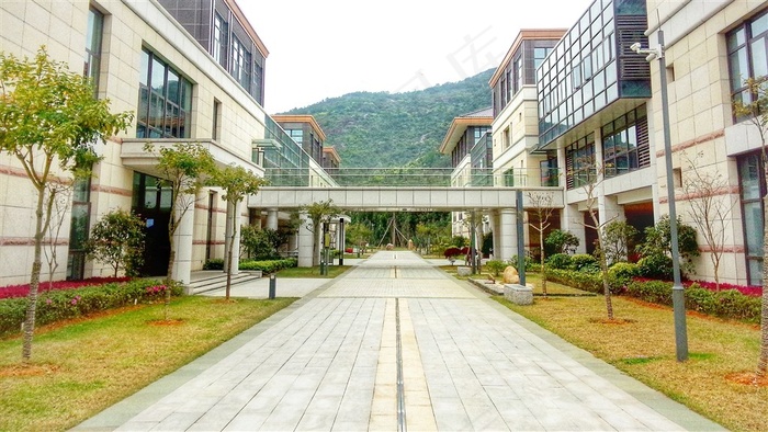 新华都商学院
