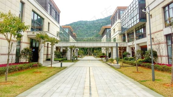 新华都商学院