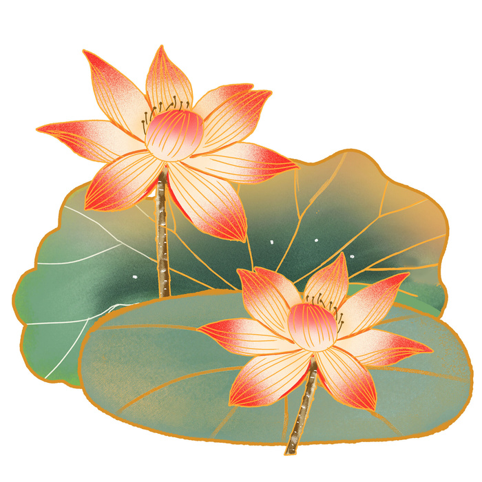 国潮中国风手绘荷花莲花荷叶莲藕植物花卉装饰插画PSD设计素材