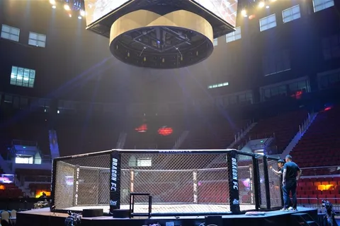 综合格斗八角笼