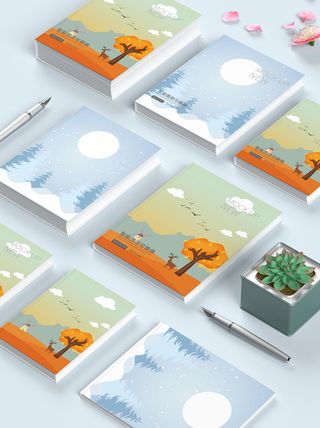 VI样机书本贴图包装logo样机