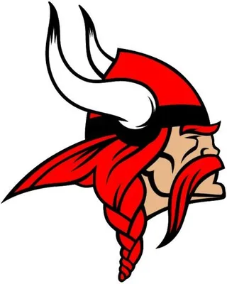 维京标志头 PNG免抠