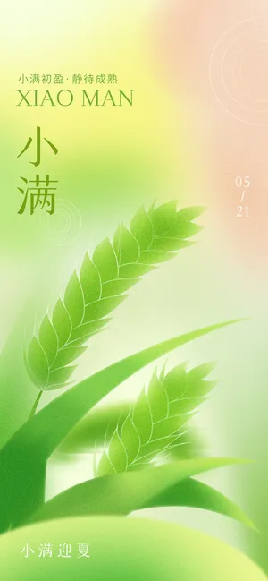 绿色中国风小满24节气海报