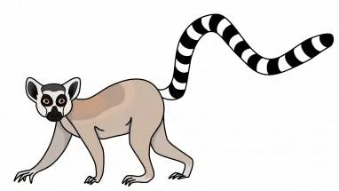 狐猴 PNG免抠(382x215)