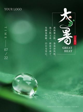 传统节日大暑海报