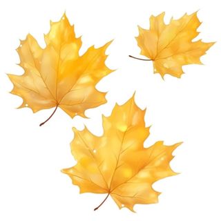 黄色的叶子免抠