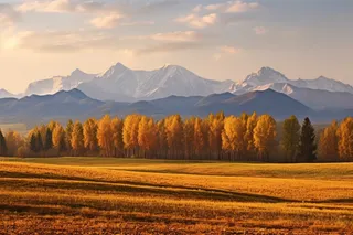 秋天高原雪山山脉黄色森林草原摄影图