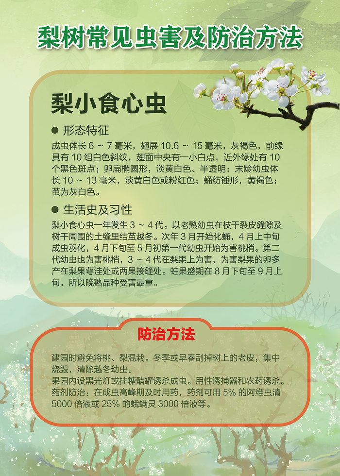 梨树常见虫害及防治方法海报