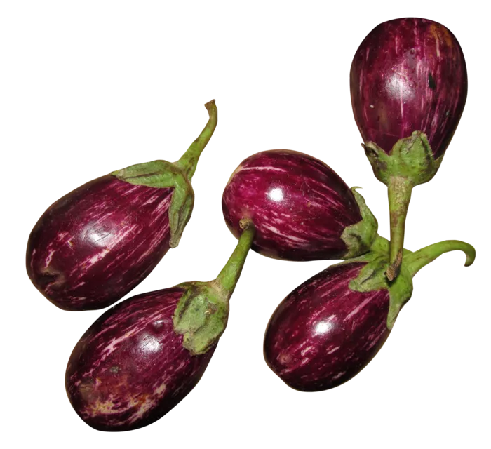 茄子紫茄子
