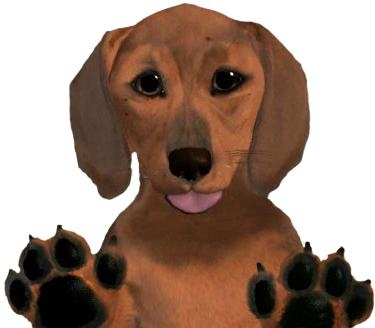 腊肠犬 PNG免抠(375x328)