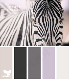 动物配色色卡色彩搭配
