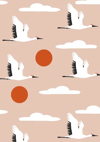 天鹅迁移 落日云朵