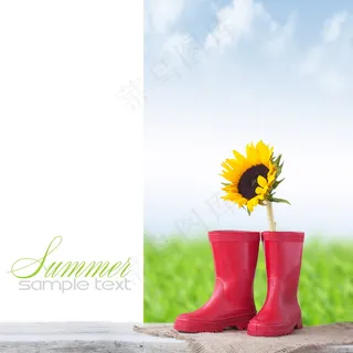 太阳花雨鞋图片