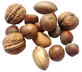 坚果夏威夷果合集