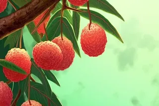 荔枝清新国风淡绿色背景
