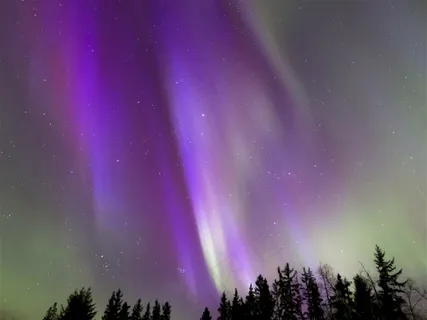 紫色的北极光 紫色的北极光