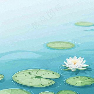 中国风夏日荷塘池白色荷花盛开手绘插画，立夏夏至大暑小暑