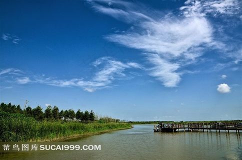 崇明湿地公园摄影图片素材