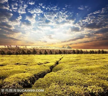 高清唯美意境草原风景图片 高清唯美意境草原风景图片
